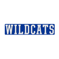 Kentucky Wildcats