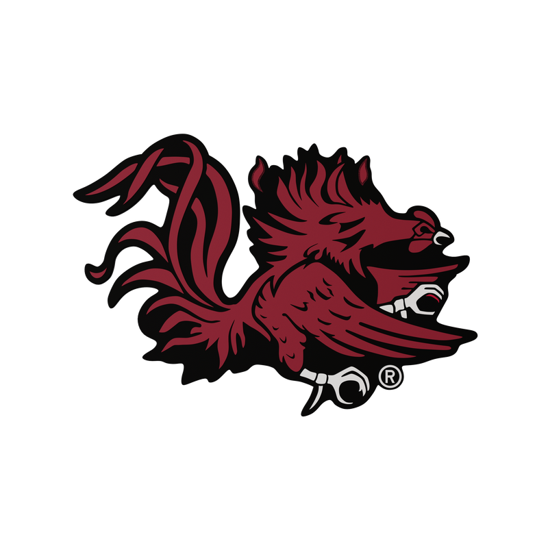 South Carolina Gamecocks