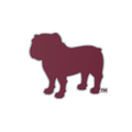 Mississippi State Bulldogs