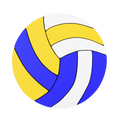 Volleyball