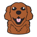 Retriever