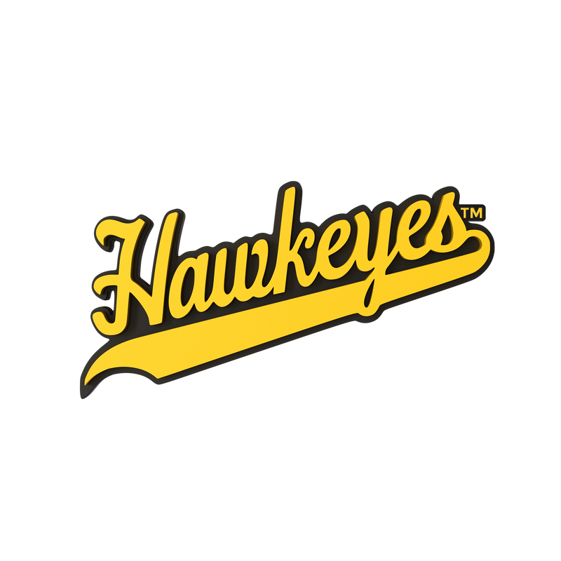 Iowa Hawkeyes