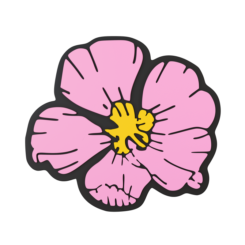 Hibiscus